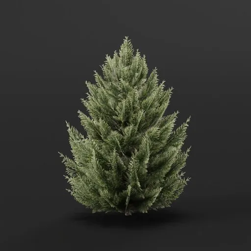 High-detail 3D Blender Cypruss Bush model, ideal for game environments and architectural visualizations.