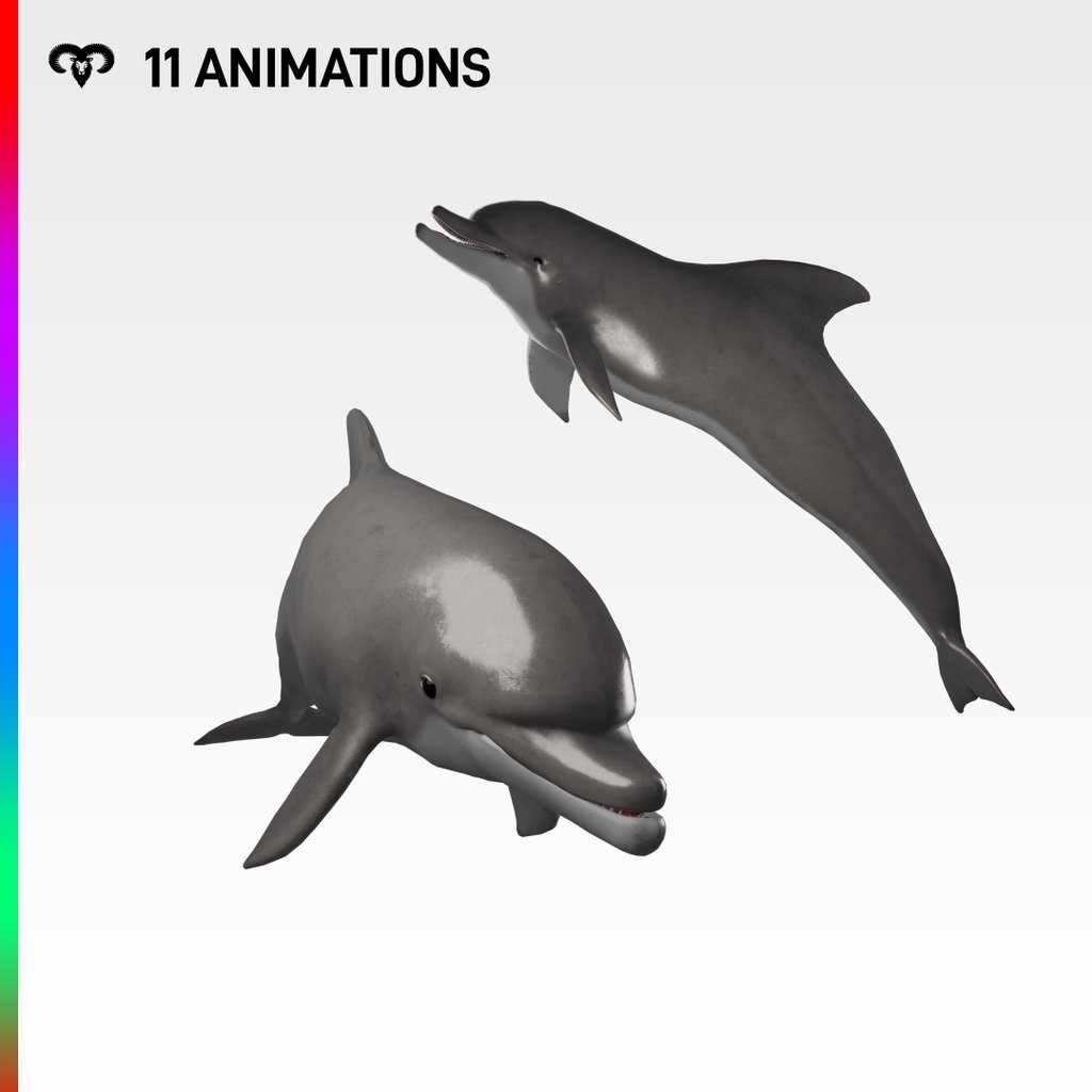 BlenderKit | Download the Dolphin +11 Animations model