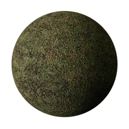 Grass