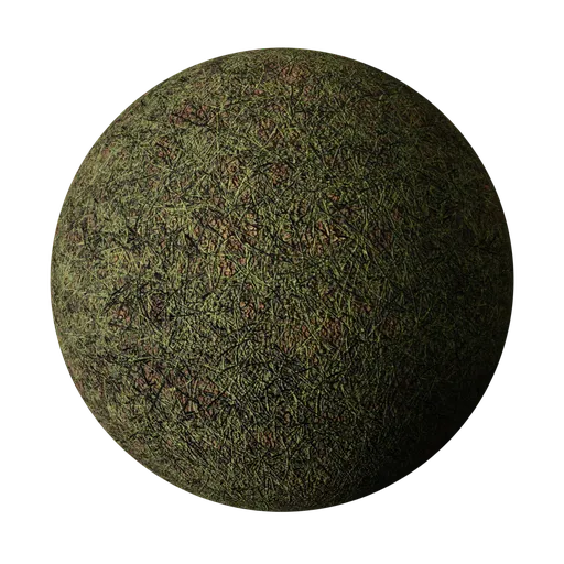 Grass