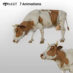 Cow Animated