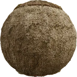 Reed Roof 04