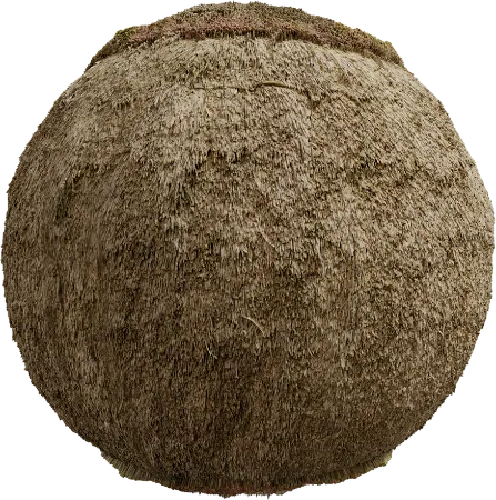 Reed Roof 04