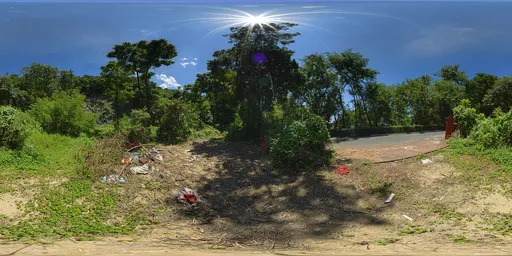 Daytime weeds