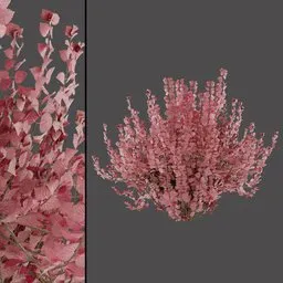 Soft Pink Leaves