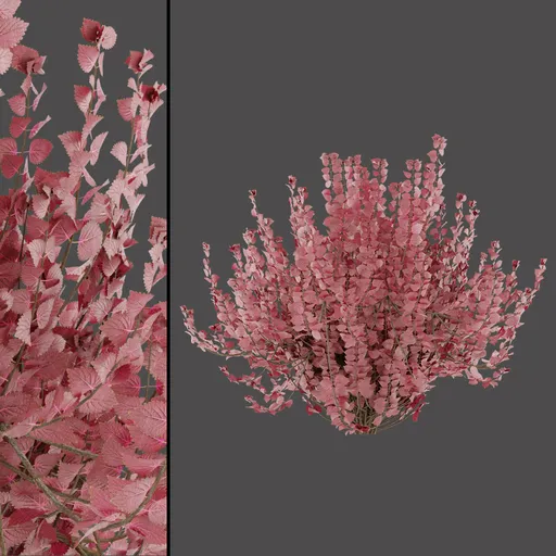 Soft Pink Leaves