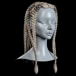 Braided Hair