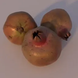 Pomegranate