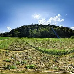 Fields during the day