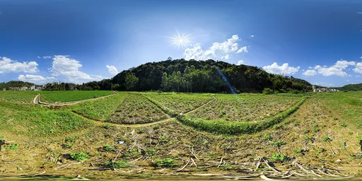 Fields during the day