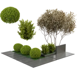 Outdoor Plant Garden Set0B