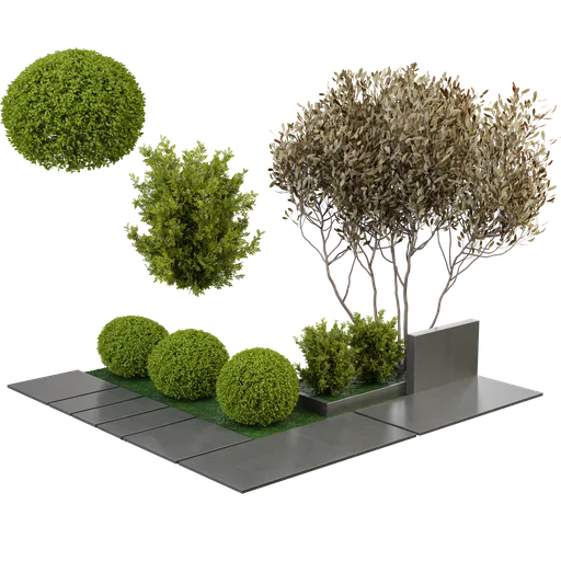 Outdoor Plant Garden Set0B