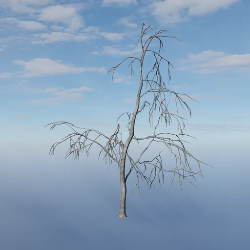 Small Tree Twig