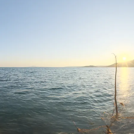 Lakeside Sunrise