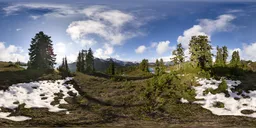 Trees in Landscape Summer Day