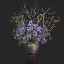 Plant