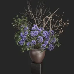 Plant