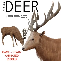 Orange Deer