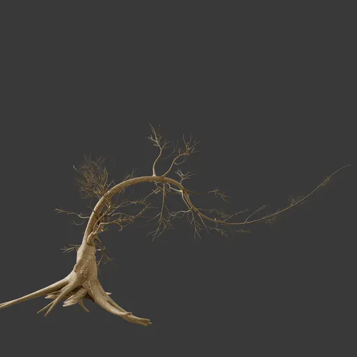 Dry Tree