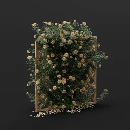 Yellow Climbing Rose