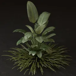 SJ-Tropical Garden Leafy Plant