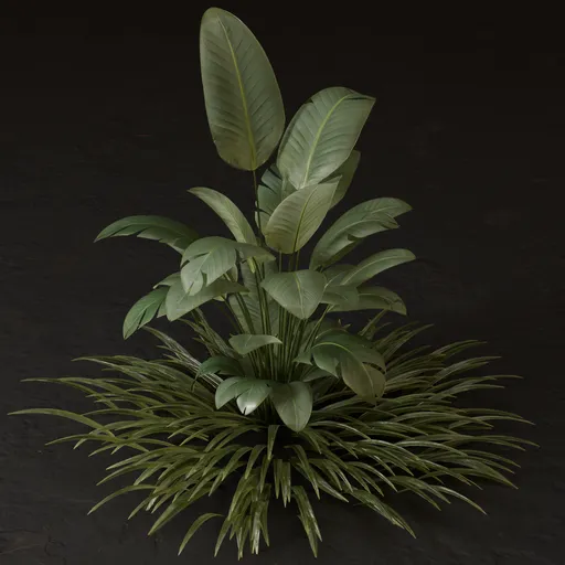 SJ-Tropical Garden Leafy Plant
