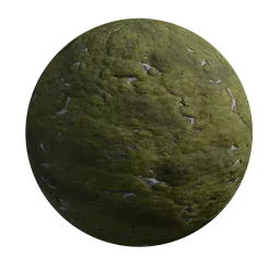 Detailed PBR texture of green moss-covered ground for 3D rendering in Blender and other software.