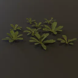 Ground Cover Grass Med