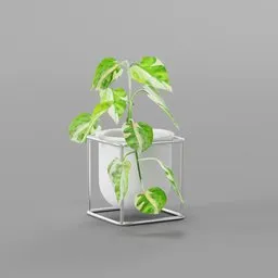 Realistic ivy Pothos 3D model with porcelain pot for Blender rendering, perfect for interior visualization.