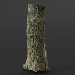 Large Tree Trunk 01