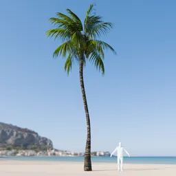 Coconut Tree Rigged and Animated