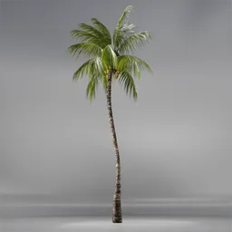 Coconut Tree Rigged and Animated