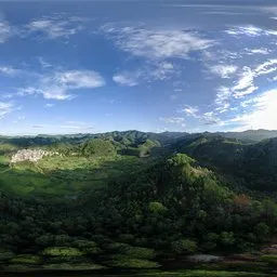 Green Forest HDR