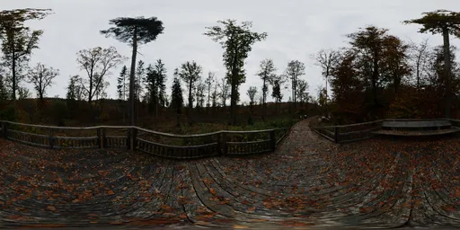 Overcast Autumn Forest