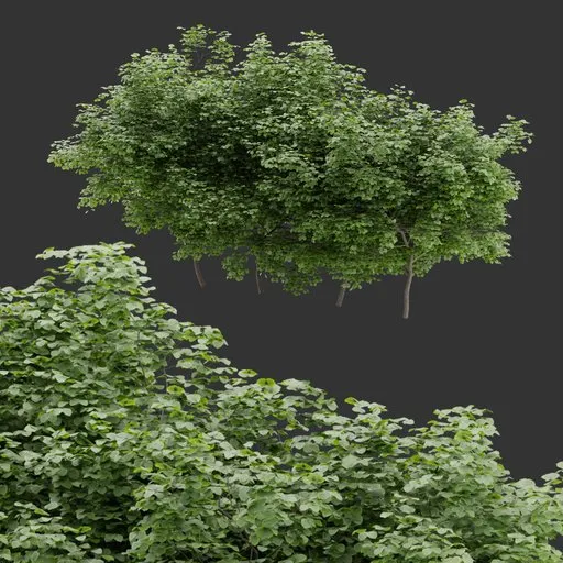 Simple Bush Plant Collection