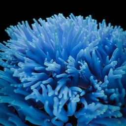 Animated modular sea ​​anemone (GN)
