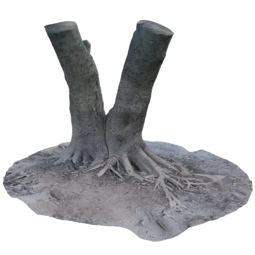 Tree with roots