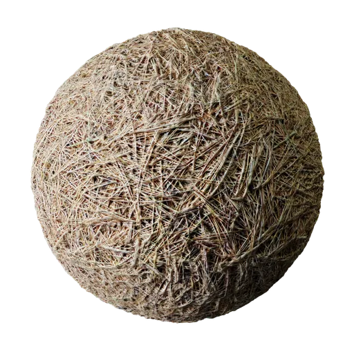 Pine Needles Forest Floor