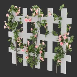 Flowering Divider Fence Climber Plant