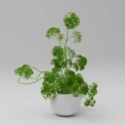 Green plant pots
