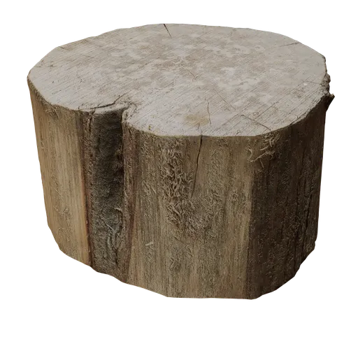 Realistic 3D model of a wooden stump with detailed textures and natural surface, optimized for Blender.