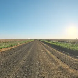 Lonely Road Afternoon