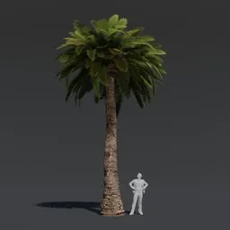 "High quality 3D model of a Date Palm tree with PBR textures and materials for Blender 3D. Perfect for cinematic scenes and scenario assets, inspired by Attila Meszlenyi's artwork. Height measures 178cm."