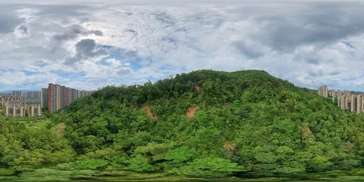 Mountain tree green forest