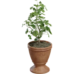 Potted Plant 01