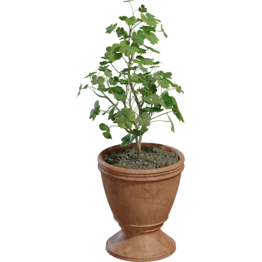 Potted Plant 01