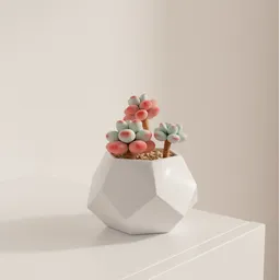 Pastel Succulent Charm