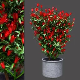 Red Blossom Garden Screen