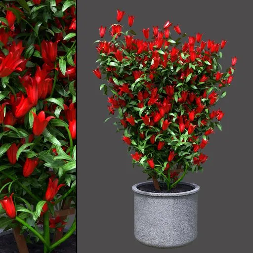 Red Blossom Garden Screen