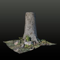 Tree Trunk A LowPoly